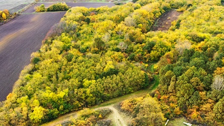 Славујев луг фото ДЗППС 1 1