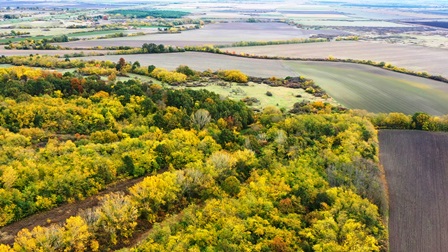 Славујев луг фото ДЗППС 4